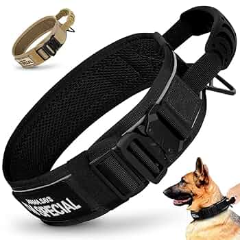 Ameri　RETURN COLLAR ALL IN ONE Ameri RETURN COLLAR ALL IN ONE